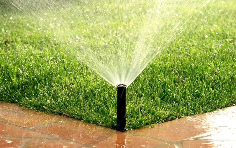 Automated Irrigation