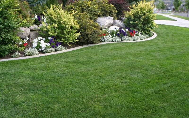 Low-Maintenance Landscaping design