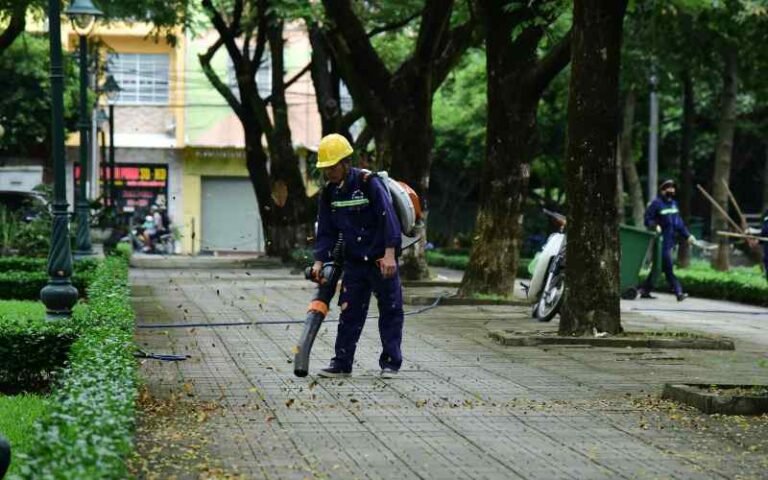 Landscape Maintenance