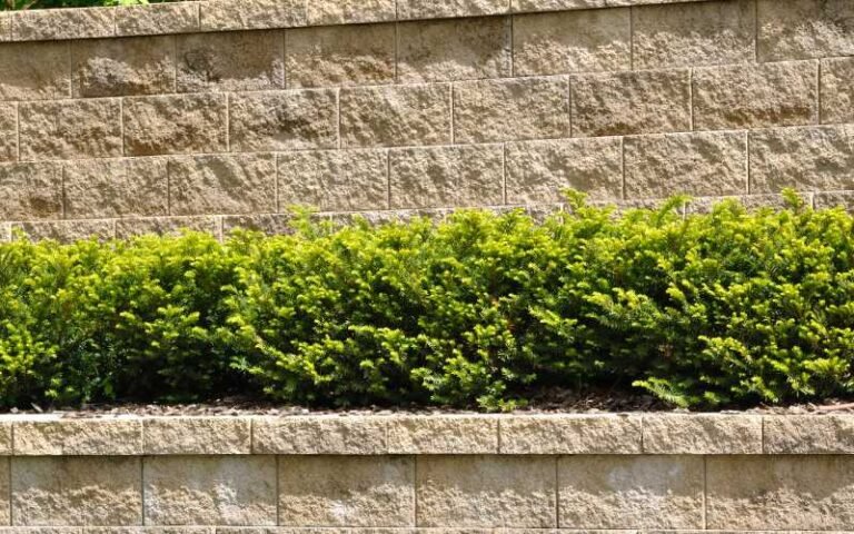 A Small Yard Slim Retaining Wall Ideas That Won't Eat Your Lawn