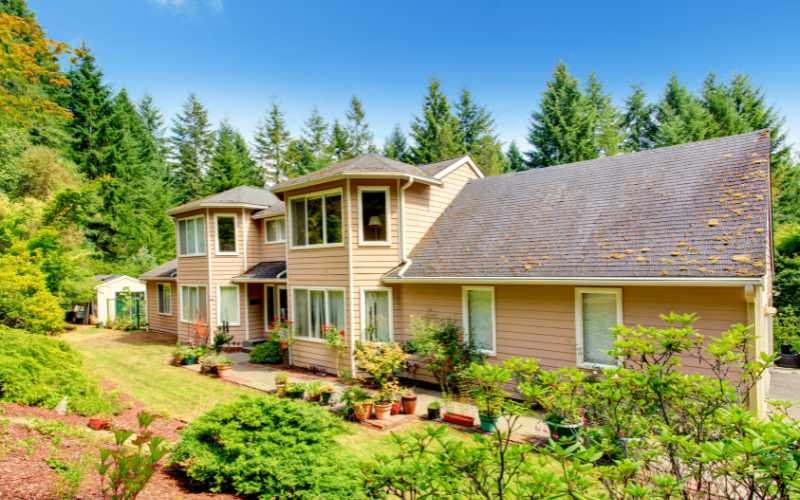 Sloped or uneven Backyards