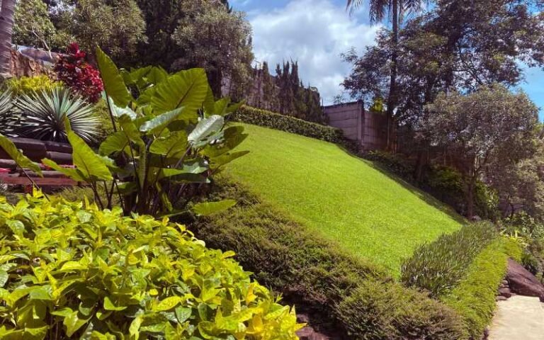 Uneven Backyard? Here’s What You Can Do About Sloped Land in Melbourne