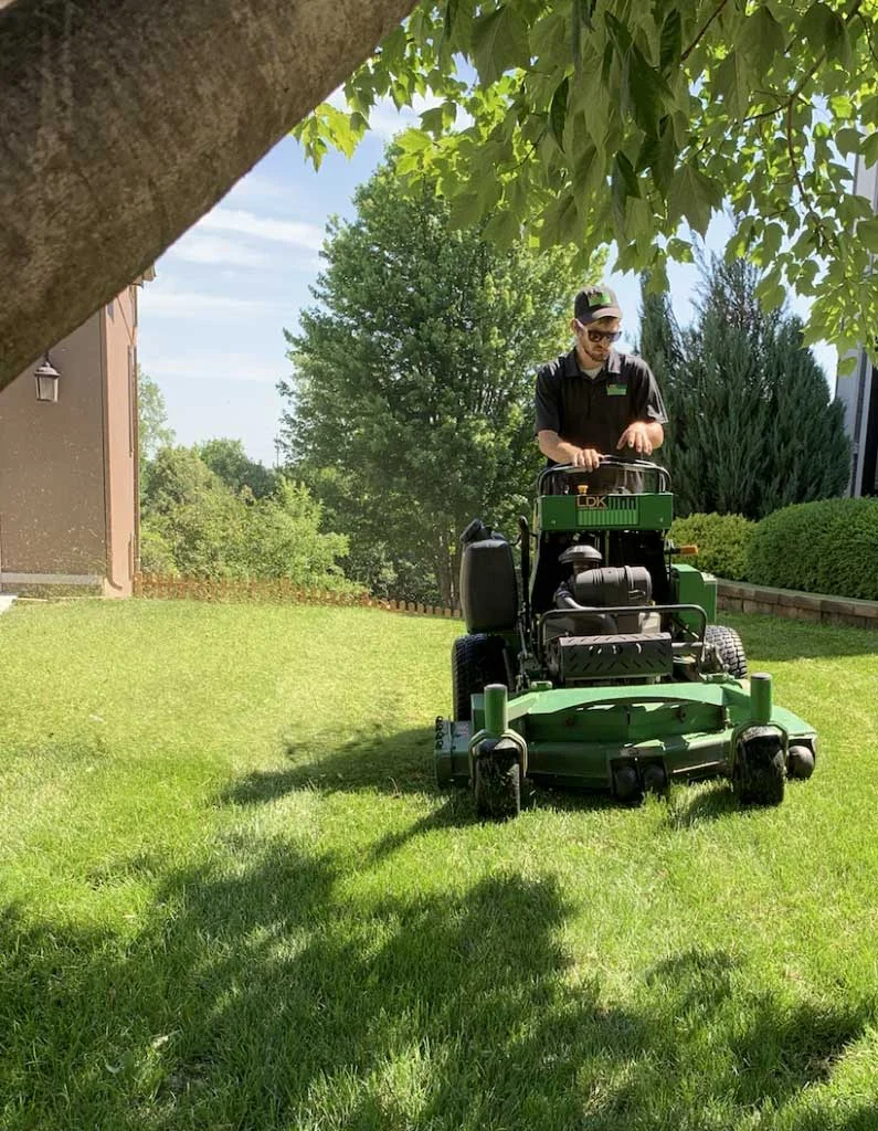 landscaping springvale